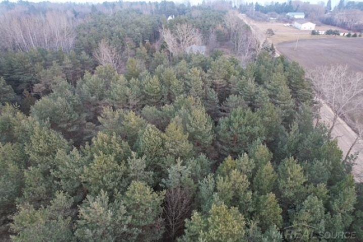 Mann Rd Port Port Sanilac, MI 48469 - Photo 16 of 20