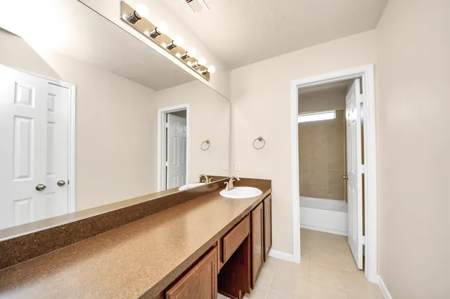 a bathroom with a sink and a mirror