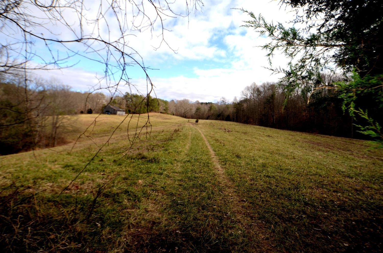146 Opossum Run Road Irvine, KY 40336 - Photo 43 of 64 Get lost on your own place!