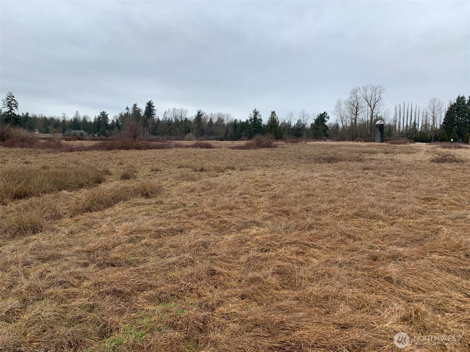 9924 Markworth Road Lynden, WA 98264 - Photo 11 of 13