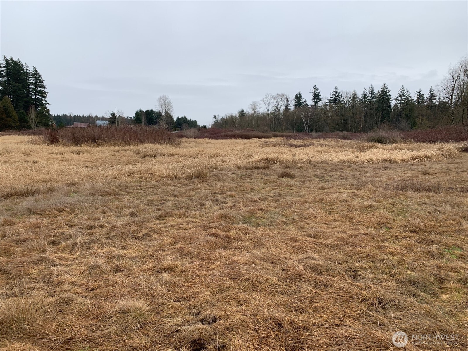 9924 Markworth Road Lynden, WA 98264 - Photo 12 of 13