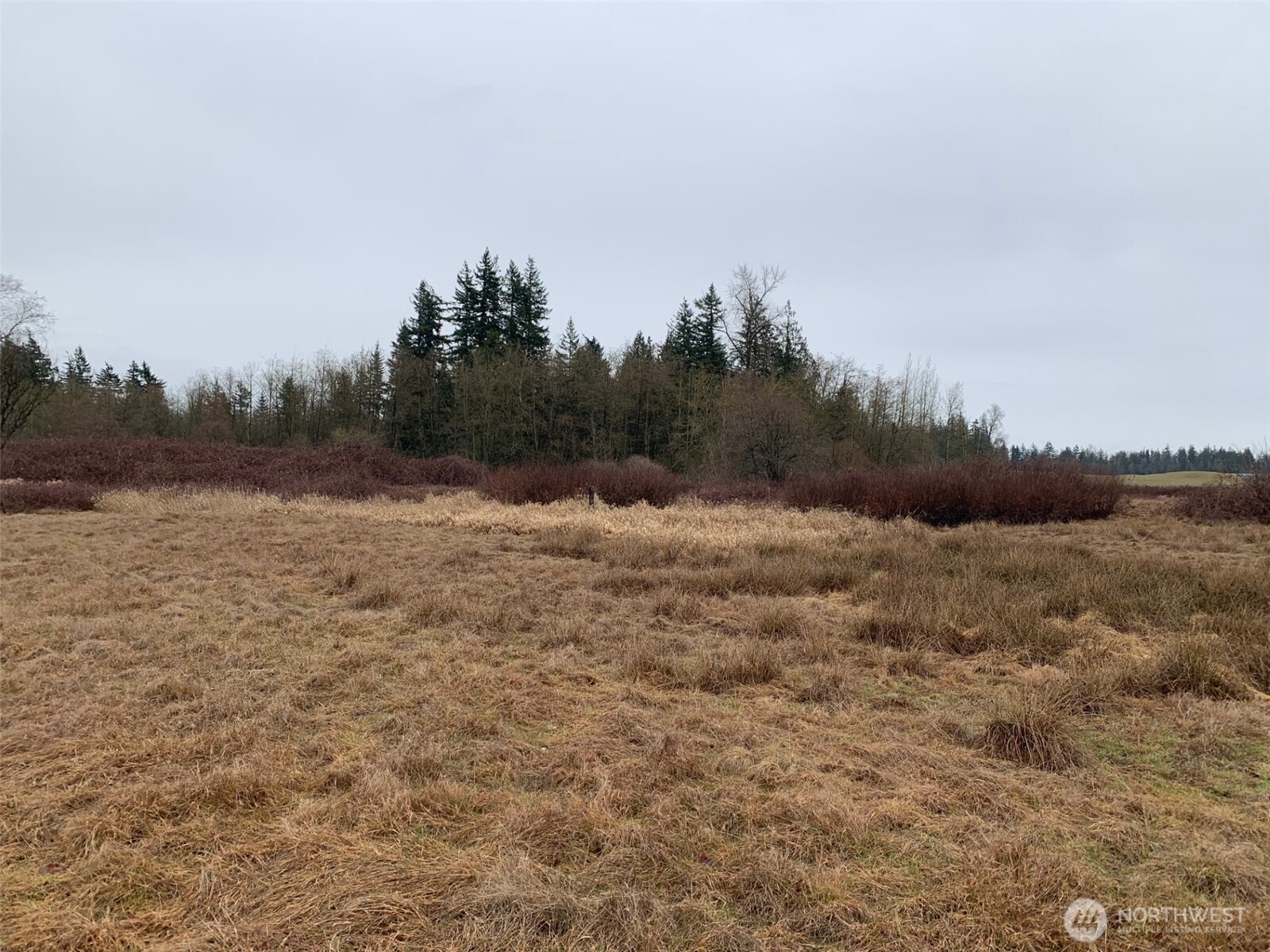 9924 Markworth Road Lynden, WA 98264 - Photo 13 of 13