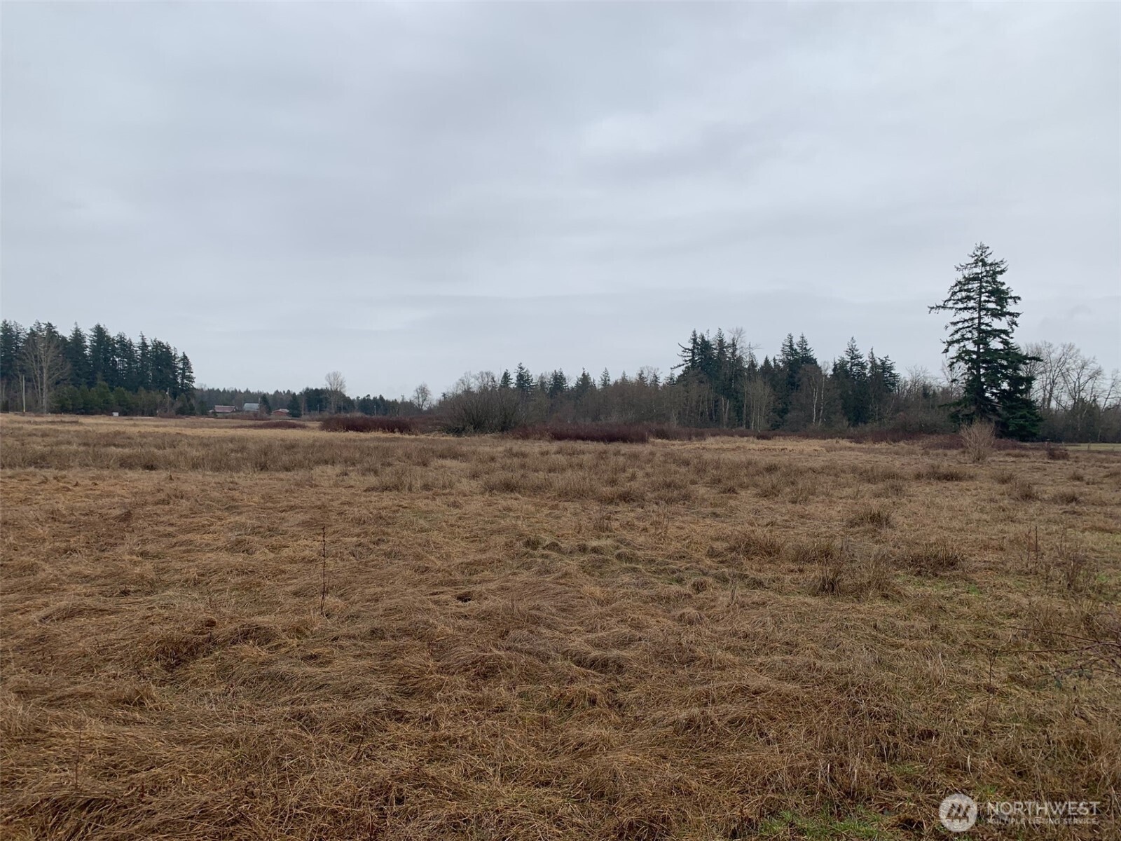 9924 Markworth Road Lynden, WA 98264 - Photo 2 of 13