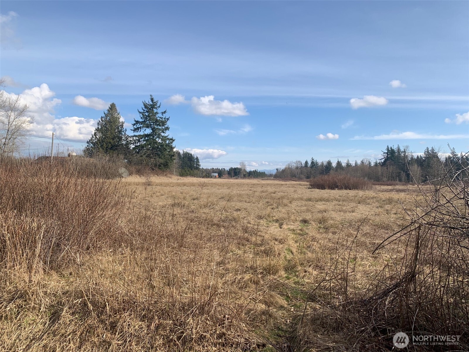 9924 Markworth Road Lynden, WA 98264 - Photo 3 of 13