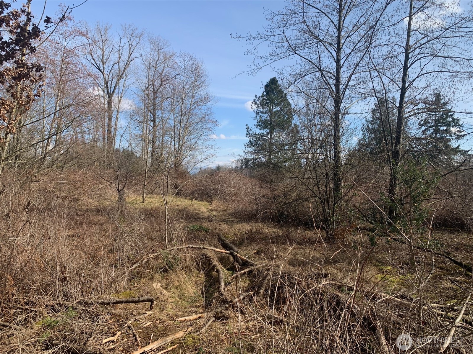 9924 Markworth Road Lynden, WA 98264 - Photo 4 of 13