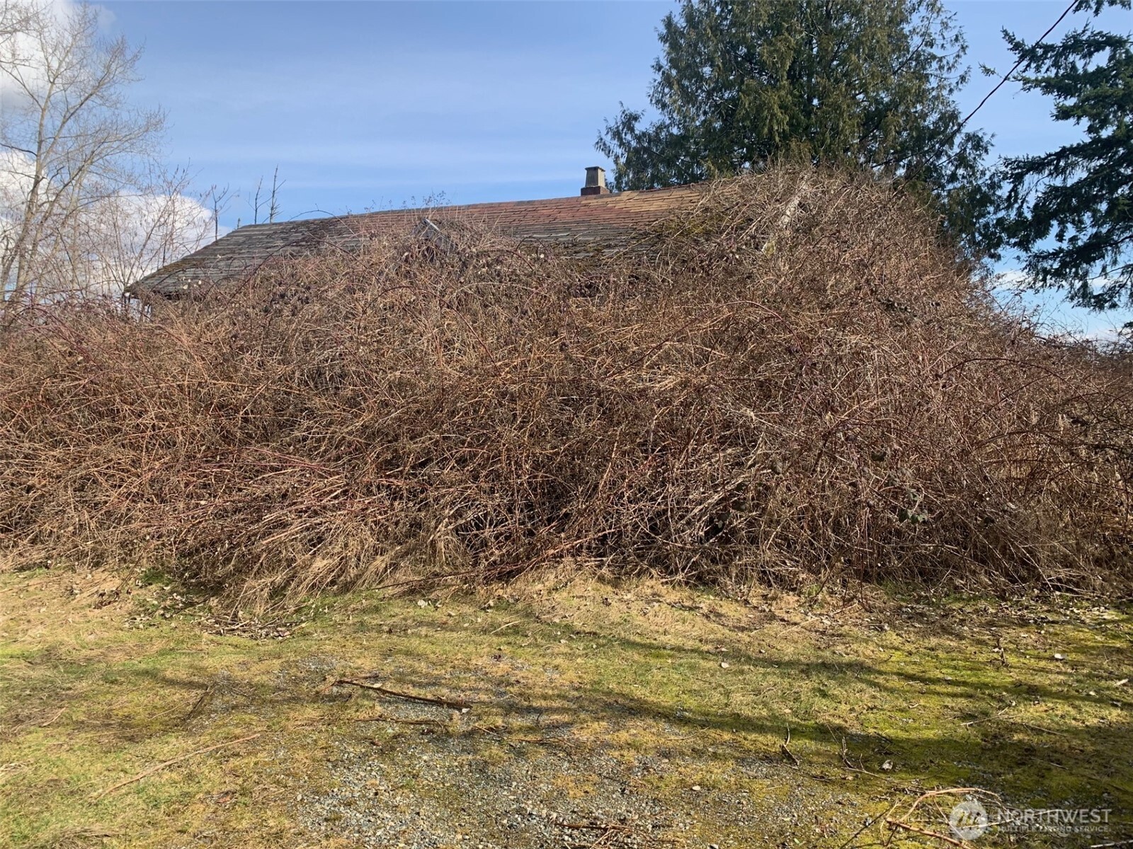 9924 Markworth Road Lynden, WA 98264 - Photo 5 of 13