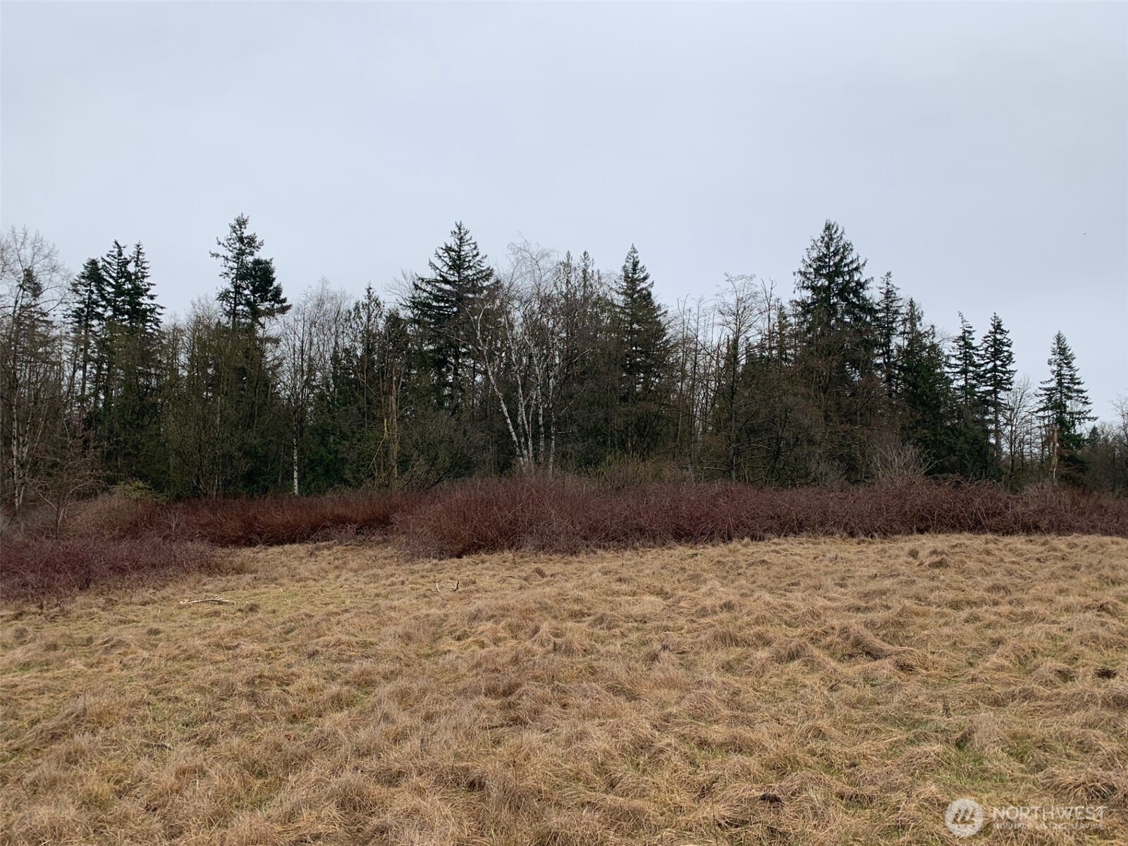 9924 Markworth Road Lynden, WA 98264 - Photo 8 of 13