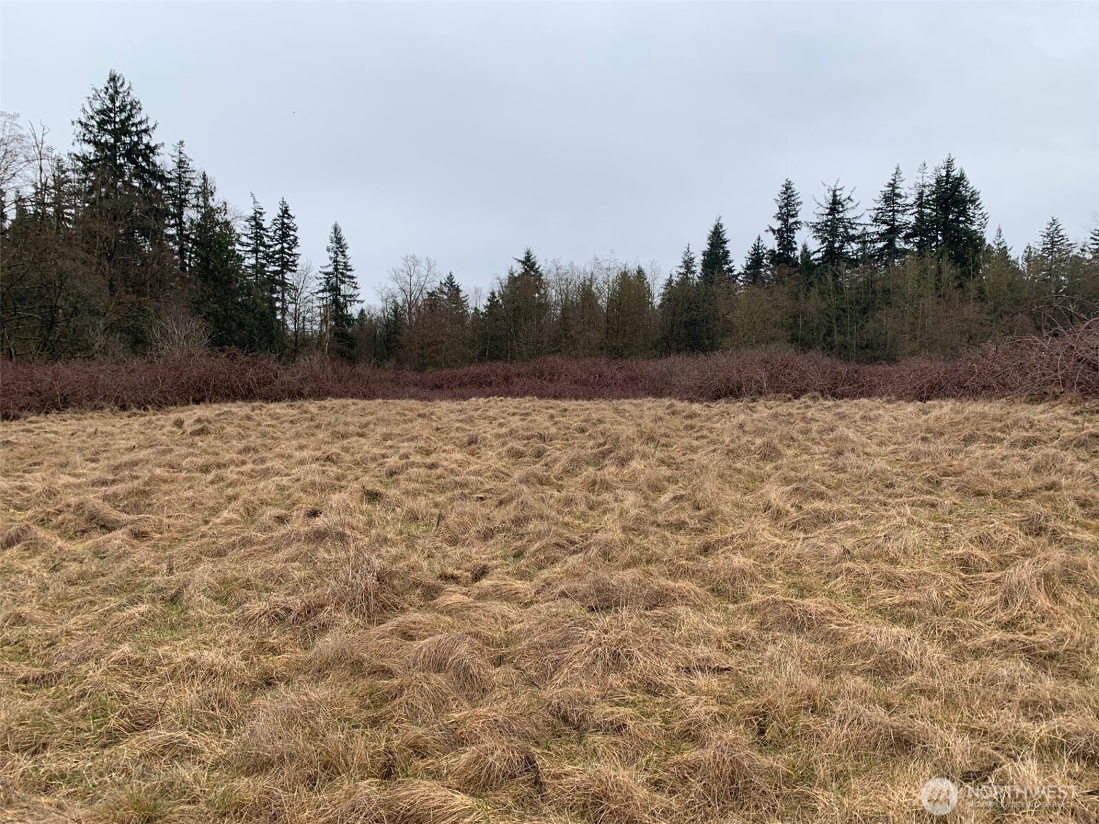 9924 Markworth Road Lynden, WA 98264 - Photo 9 of 13