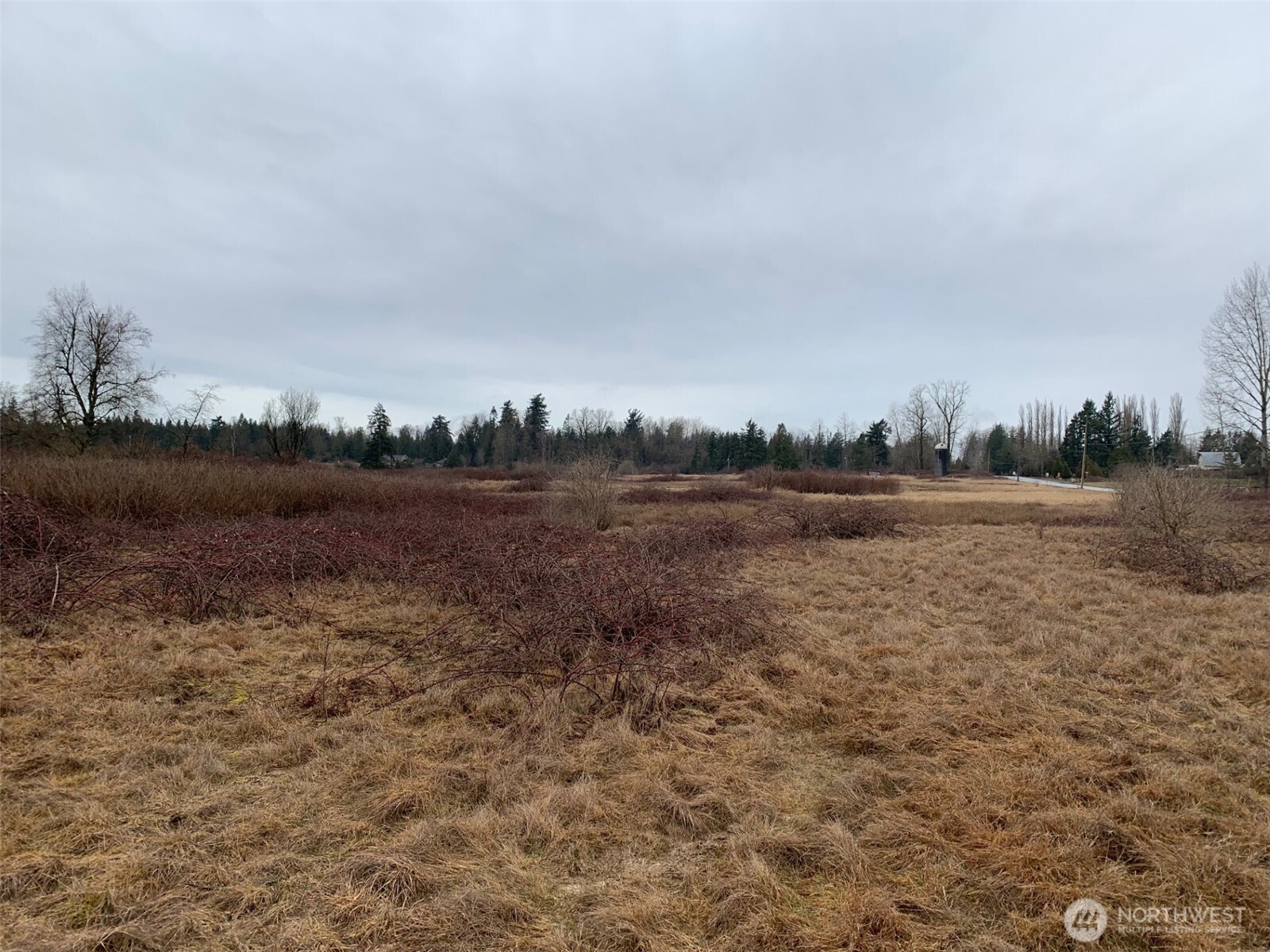 9924 Markworth Road Lynden, WA 98264 - Photo 10 of 13