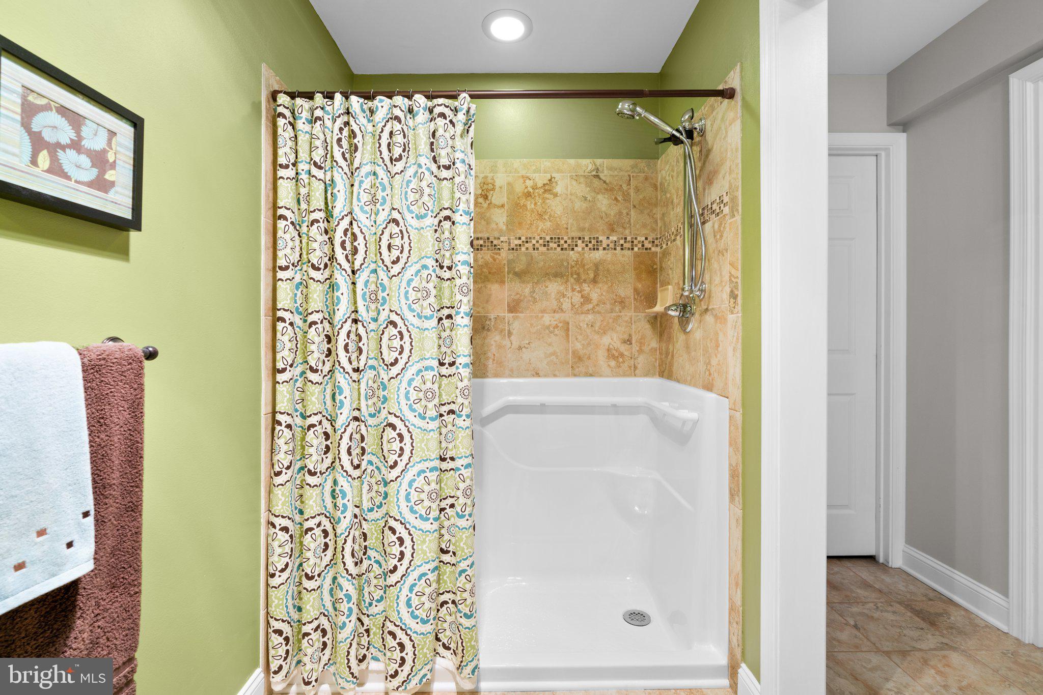 3020 Hobbs Road Glenwood, MD 21738 - Photo 70 of 108 Step-in shower, heat lamps.
