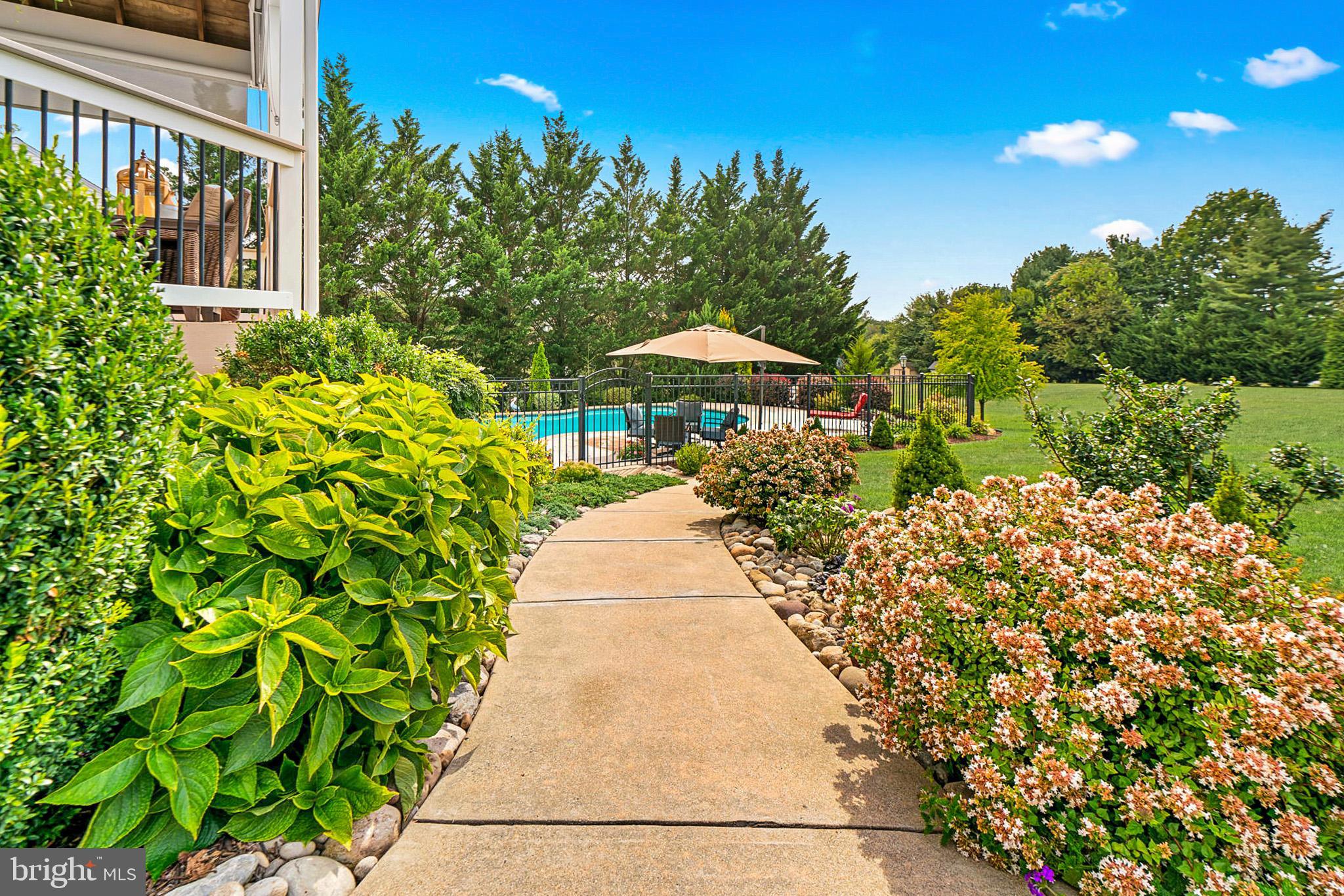 3020 Hobbs Road Glenwood, MD 21738 - Photo 79 of 108 Gorgeous mature/diverse landscaping.