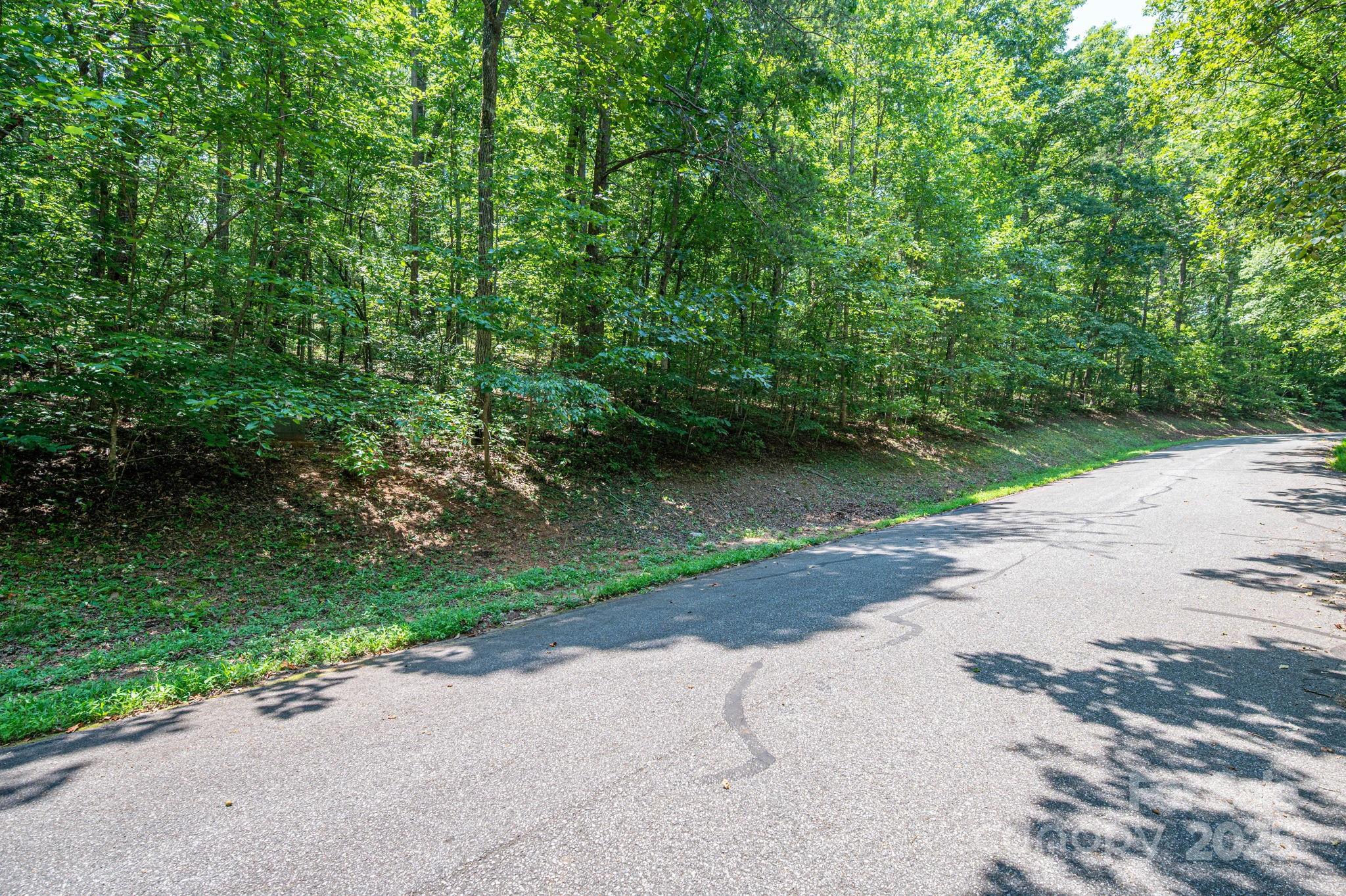 Lot #49 Moss Drive Rutherfordton, NC 28139 - Photo 11 of 24 a view of a road with a yard