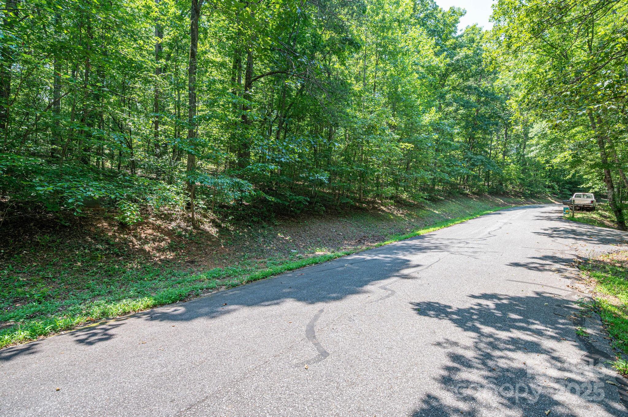 Lot #49 Moss Drive Rutherfordton, NC 28139 - Photo 12 of 24 a view of a road with a yard and a trees