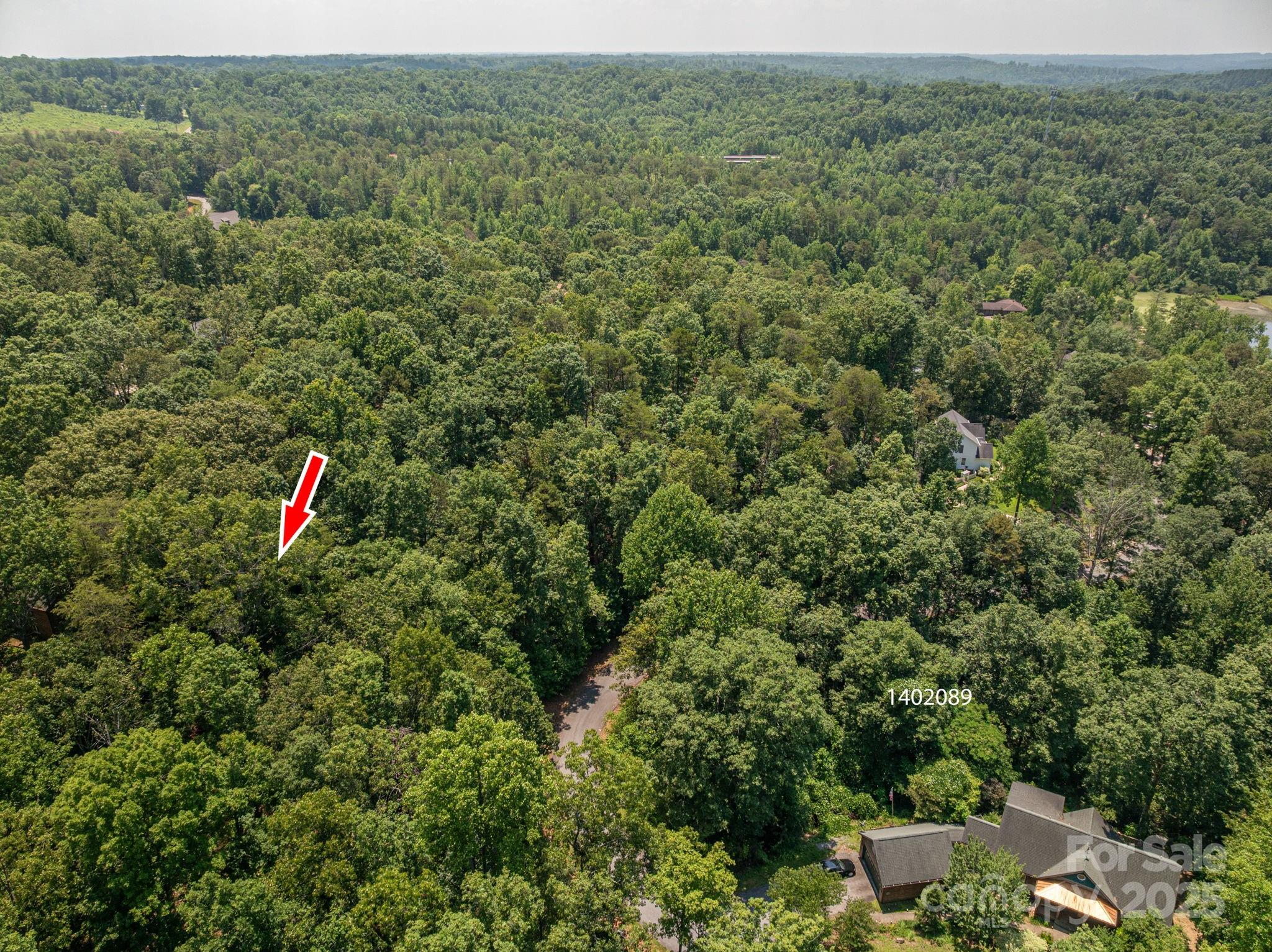 Lot #49 Moss Drive Rutherfordton, NC 28139 - Photo 3 of 24 a view of street with lush green forest