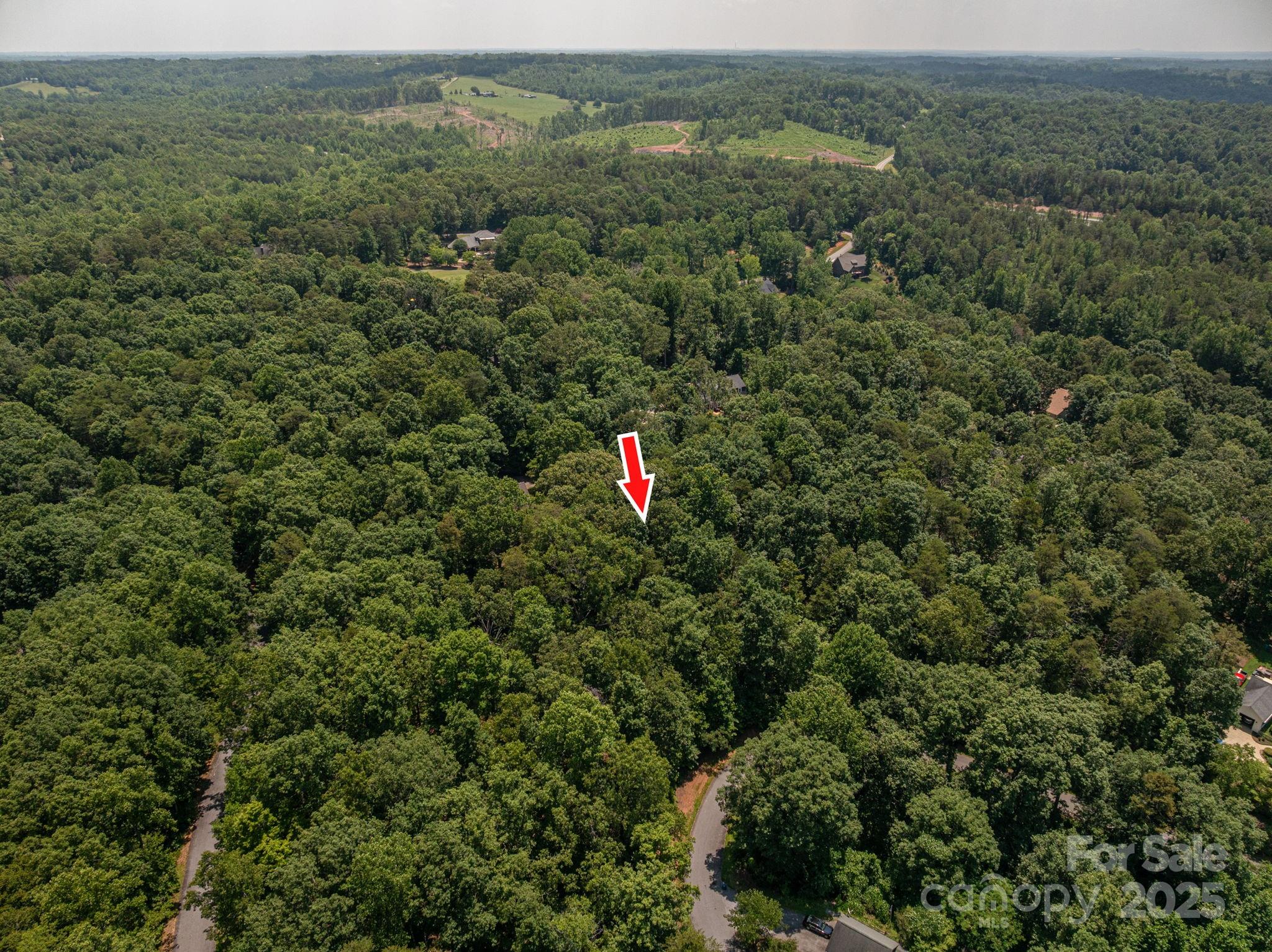 Lot #49 Moss Drive Rutherfordton, NC 28139 - Photo 4 of 24 an aerial view of residential house with outdoor space and trees all around