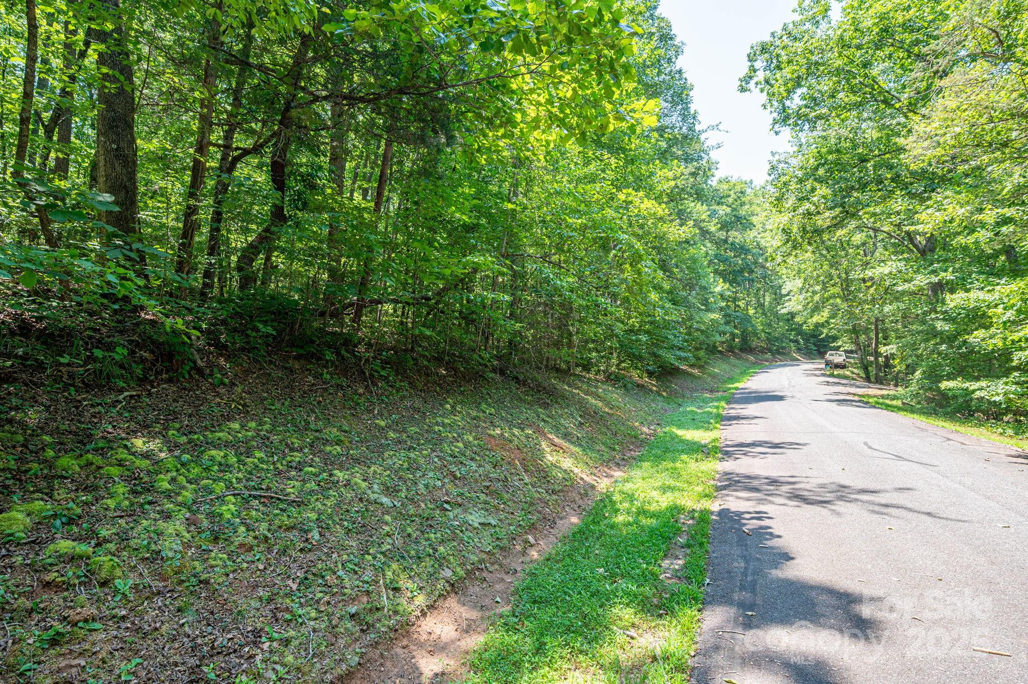 Lot #49 Moss Drive Rutherfordton, NC 28139 - Photo 8 of 24 a view of a pathway both side of yard