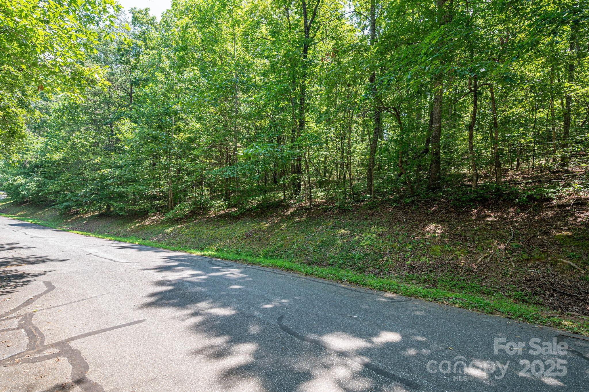 Lot #49 Moss Drive Rutherfordton, NC 28139 - Photo 10 of 24 a view of a street view