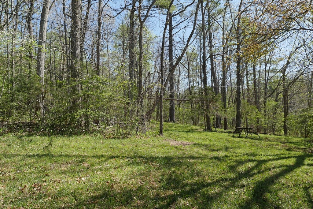 Tbd Camp Road Sugar Grove, VA 24375 - Photo 21 of 67 Gallery Image 21