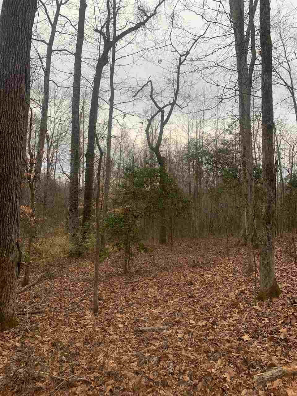Gardner Road Gaffney, SC 29341 - Photo 3 of 6