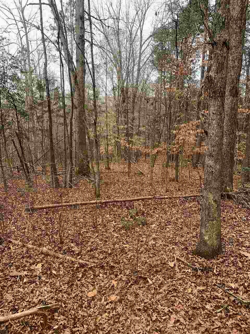Gardner Road Gaffney, SC 29341 - Photo 4 of 6