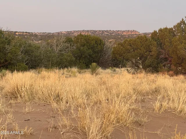 $35,000 | Lot 1041 Woodland Valley Ranch, Unit 1041, St. Johns, AZ 85936