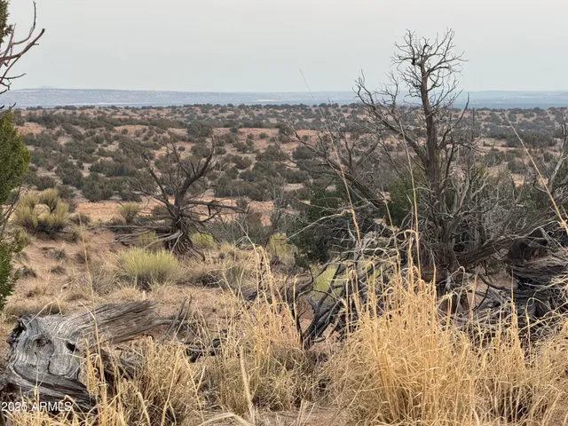 $35,000 | Lot 1041 Woodland Valley Ranch, Unit 1041, St. Johns, AZ 85936