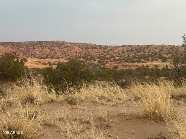 $35,000 | Lot 1041 Woodland Valley Ranch, Unit 1041, St. Johns, AZ 85936