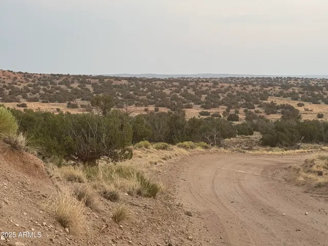 $35,000 | Lot 1041 Woodland Valley Ranch, Unit 1041, St. Johns, AZ 85936