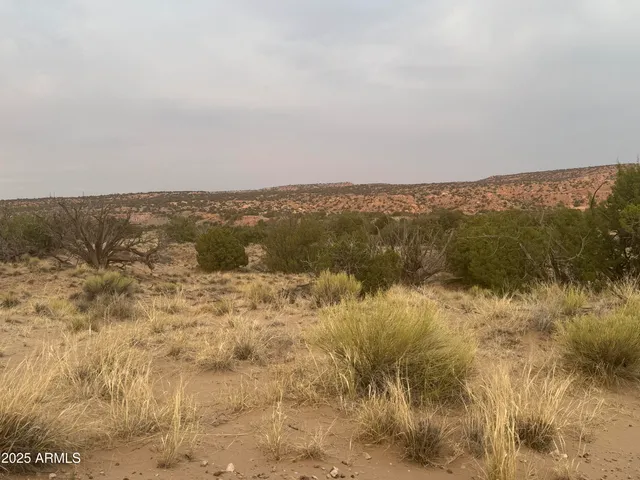 $35,000 | Lot 1041 Woodland Valley Ranch, Unit 1041, St. Johns, AZ 85936