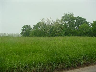 2011 Poor Ridge Drive Lancaster, KY 40444 - Photo 12 of 15 Photo 12