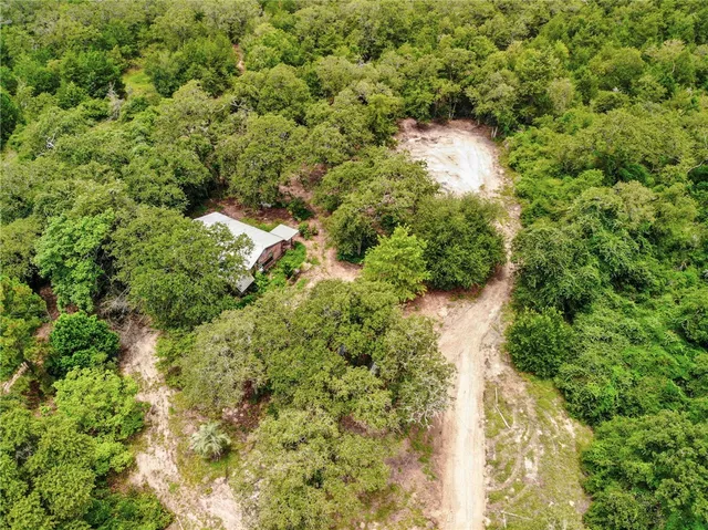 a view of a garden with plants