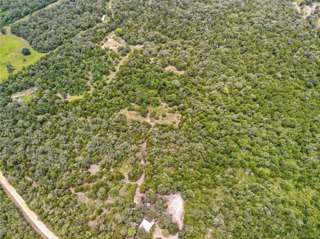 a close up of a plant