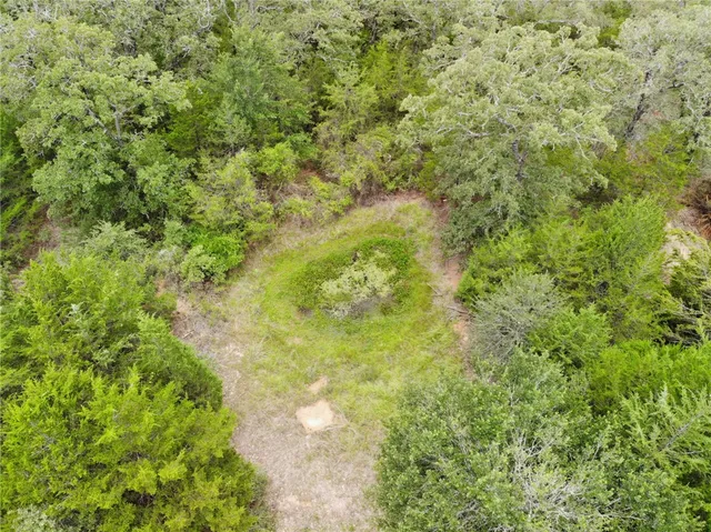 a view of a big yard with plants and large trees