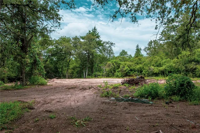 a view of a lake with a tree