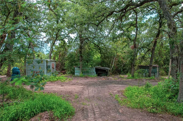 a view of a backyard with trees