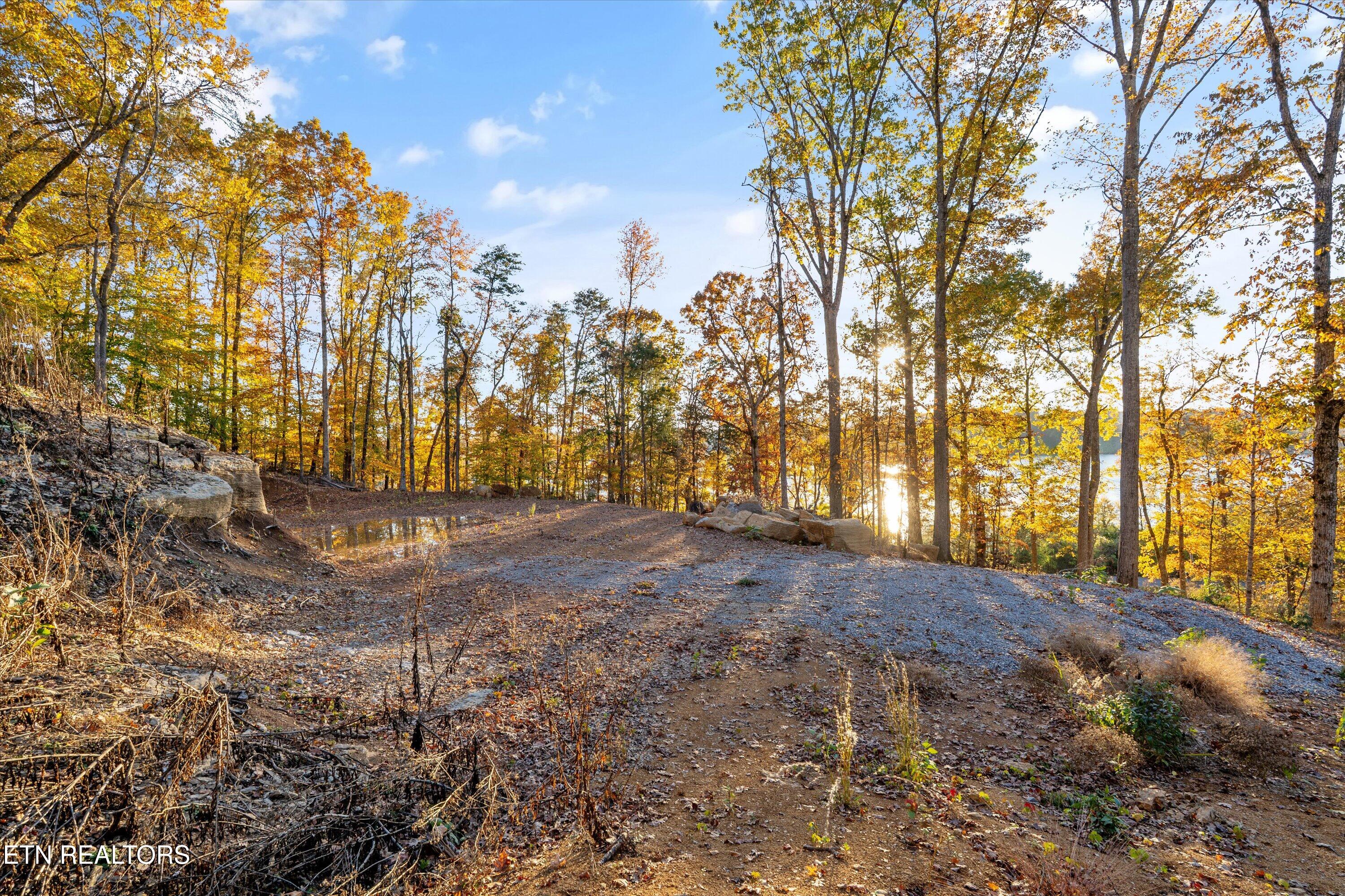 3200 Keller Bend Road Knoxville, TN 37922 - Photo 14 of 26 18-3200 Keller Bend Rd02