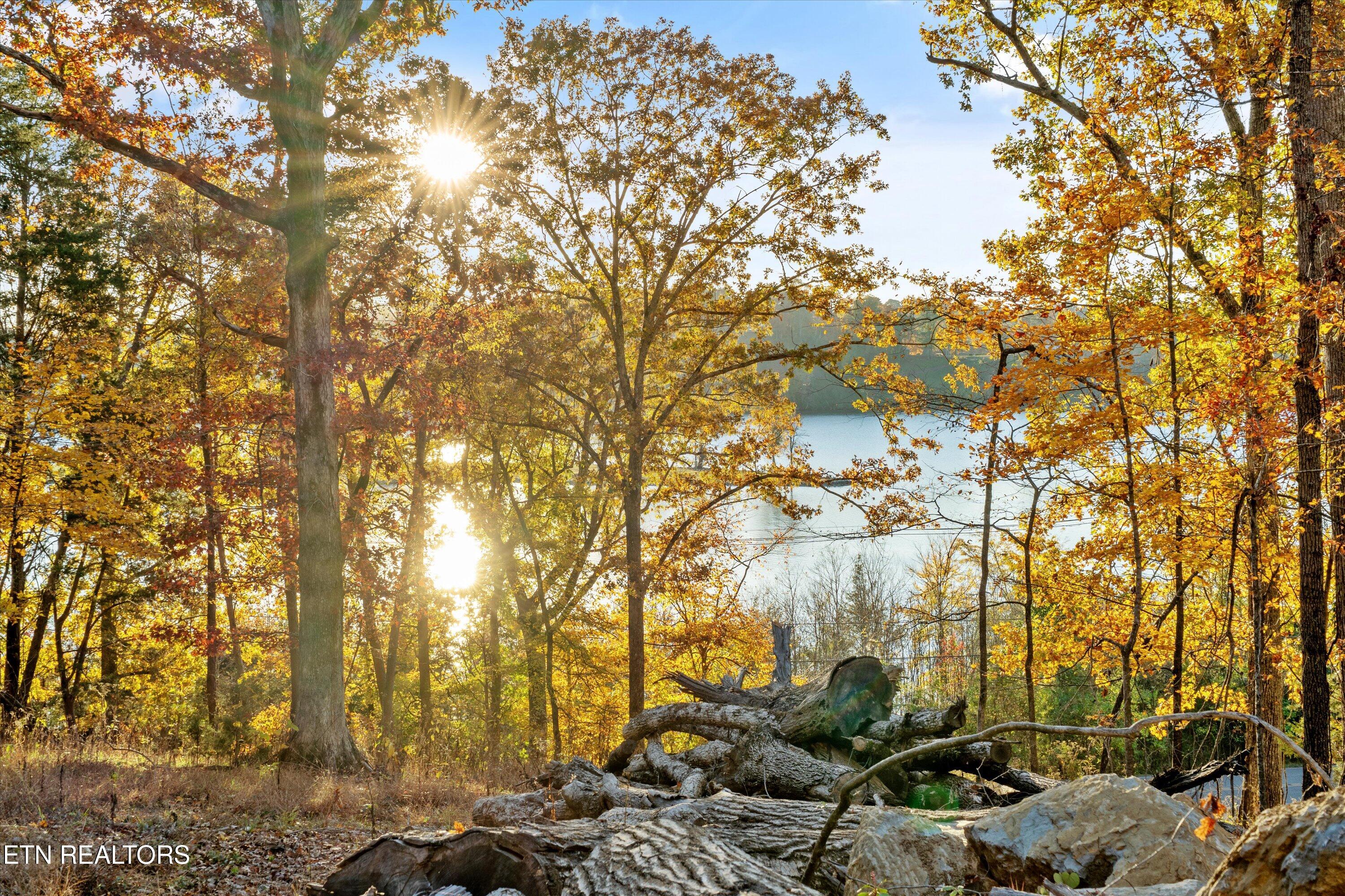 3200 Keller Bend Road Knoxville, TN 37922 - Photo 19 of 26 23-3200 Keller Bend Rd07