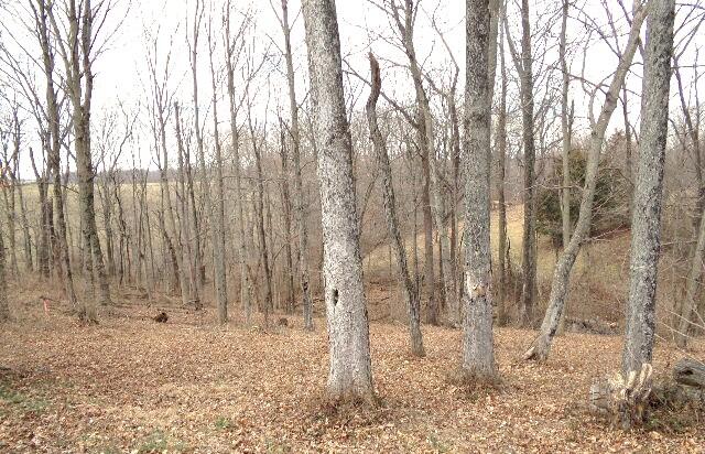 800 Eckler Road Dry Ridge, KY 41035 - Photo 37 of 50