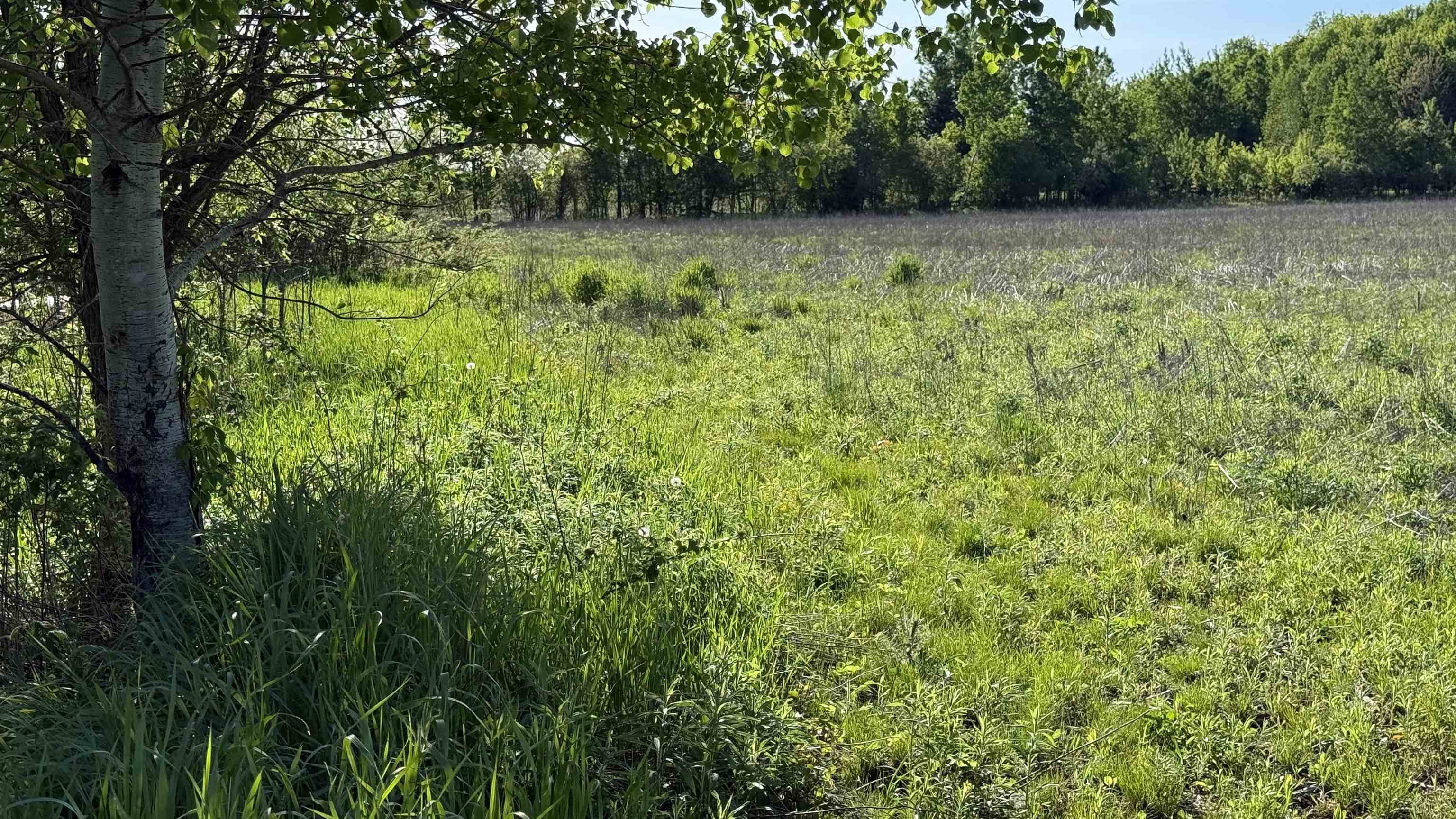 Lot 3 Eau Claire River Road Ringle, WI 54471 - Photo 25 of 28