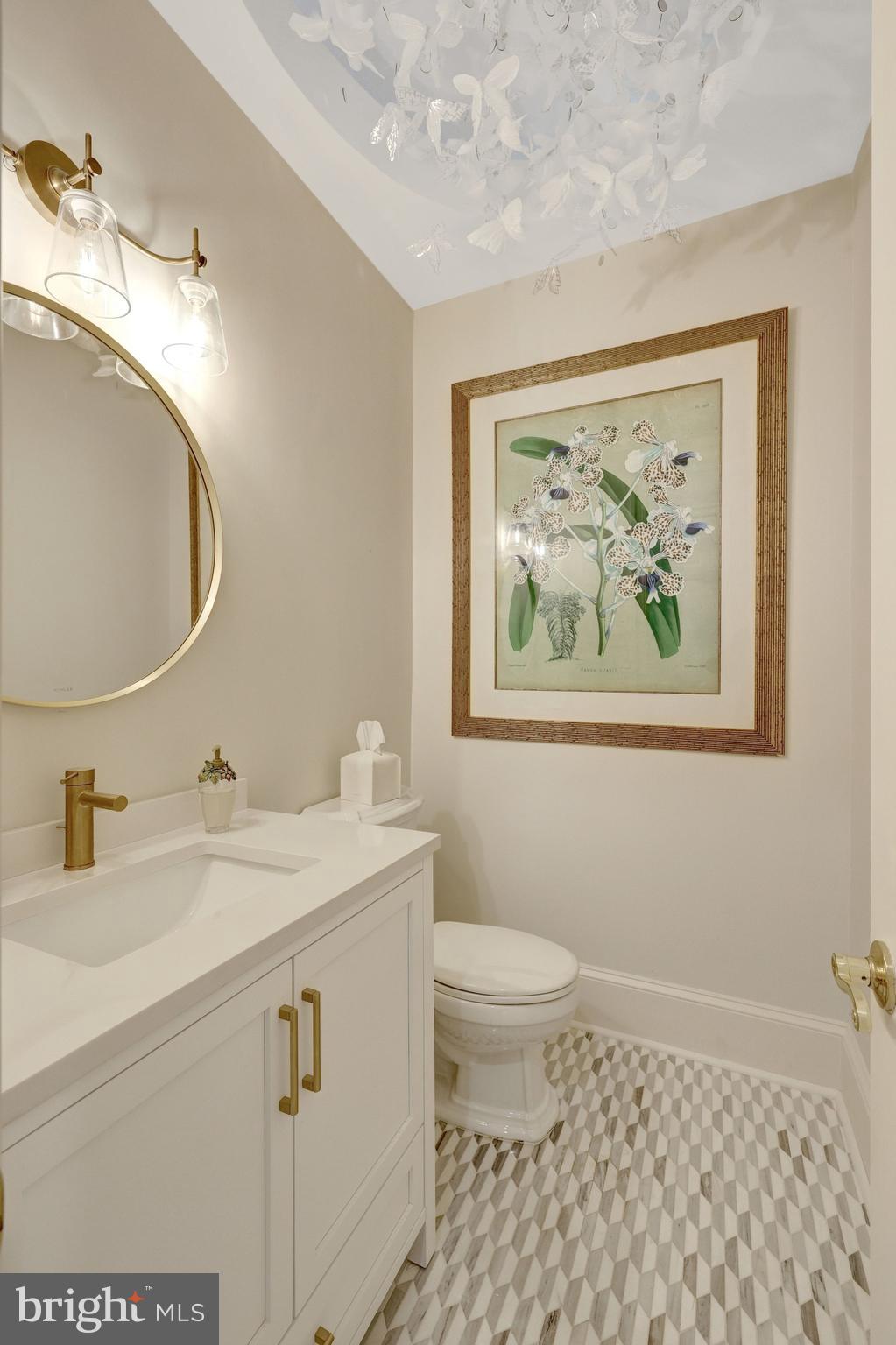 1106 Mill Ridge McLean, VA 22102 - Photo 39 of 85 a bathroom with a sink a toilet and mirror