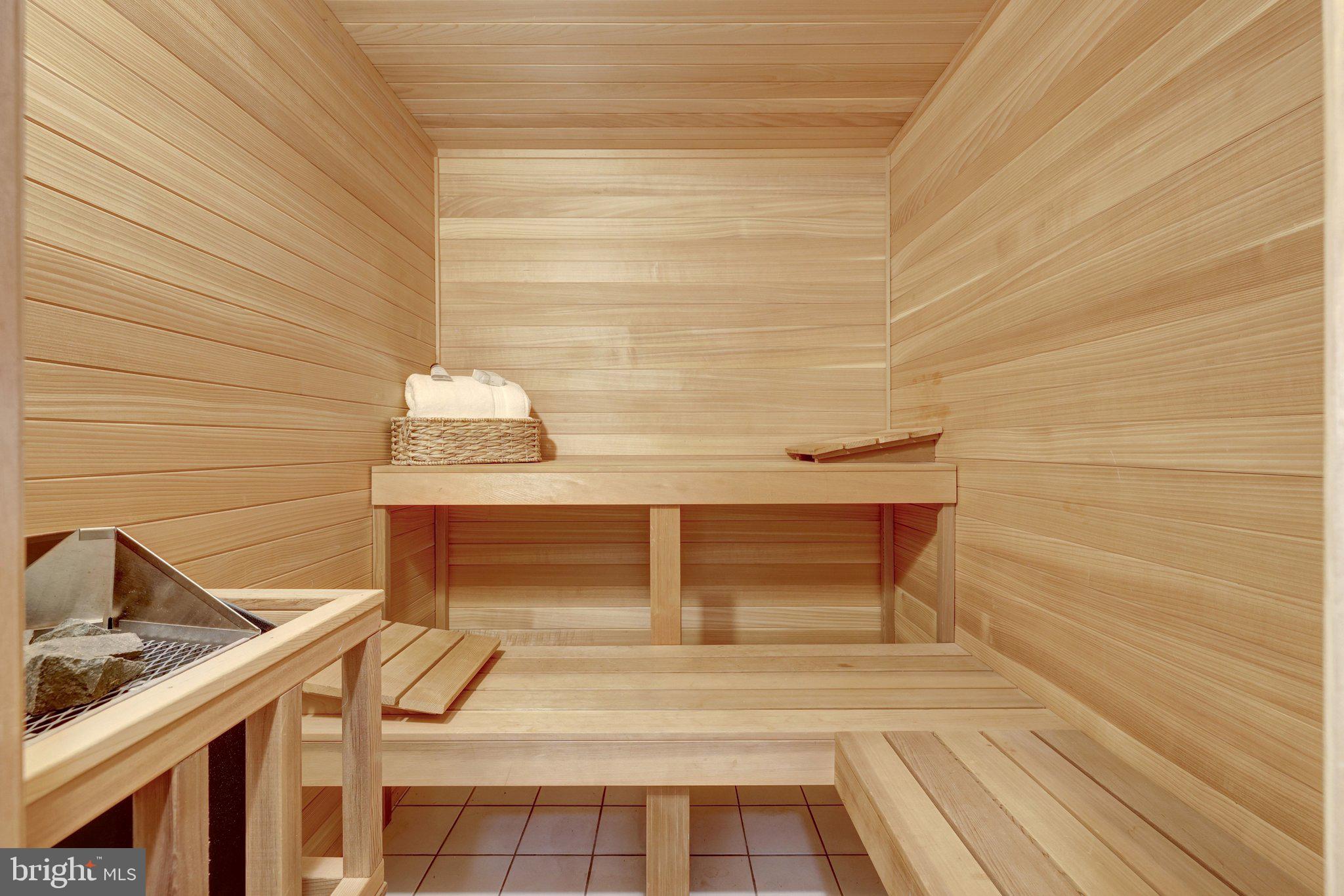 1106 Mill Ridge McLean, VA 22102 - Photo 83 of 85 Sauna