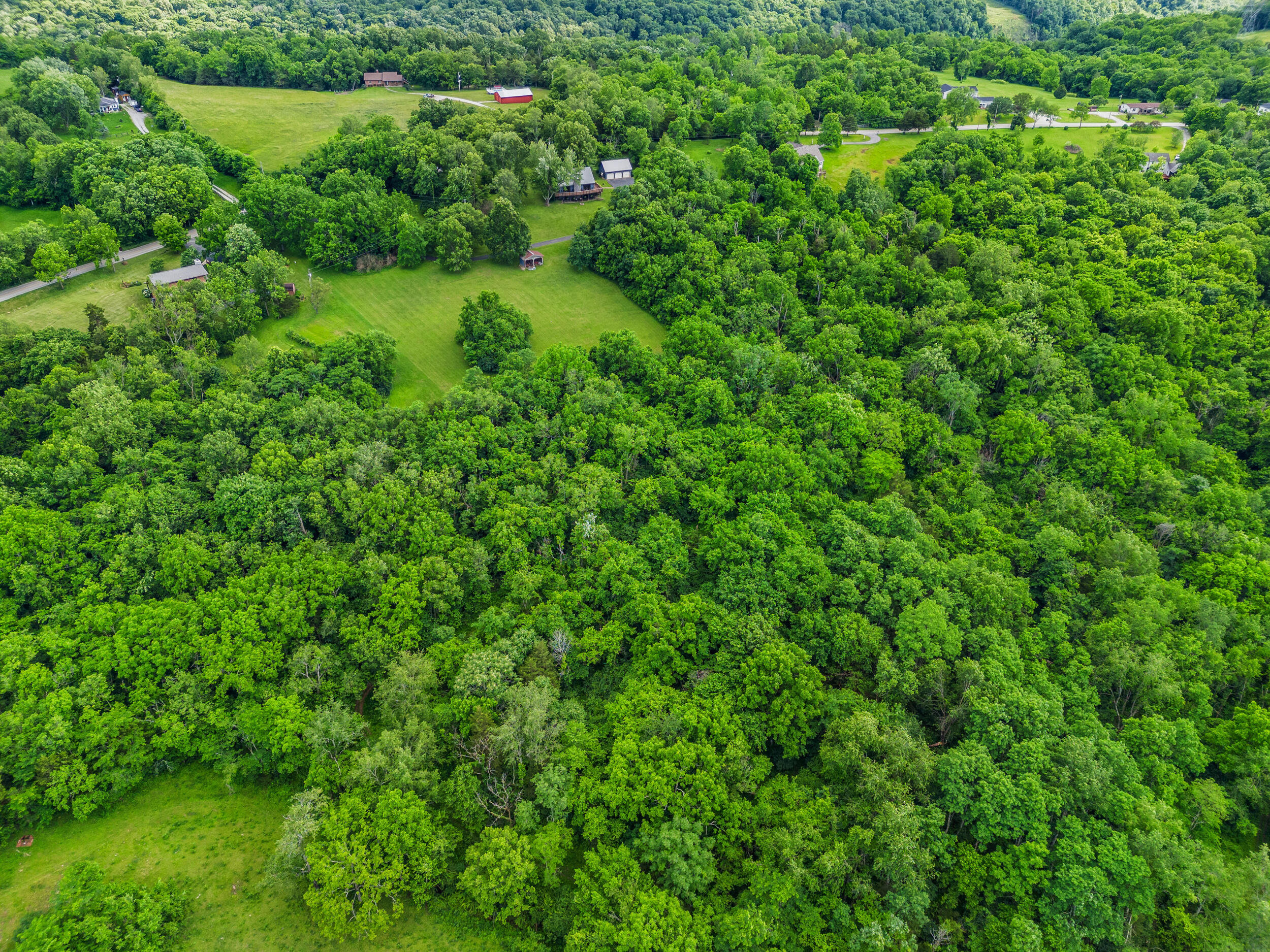 2215 High Bridge Road Wilmore, KY 40390 - Photo 8 of 37 8_dji_20240528153119_0025_d