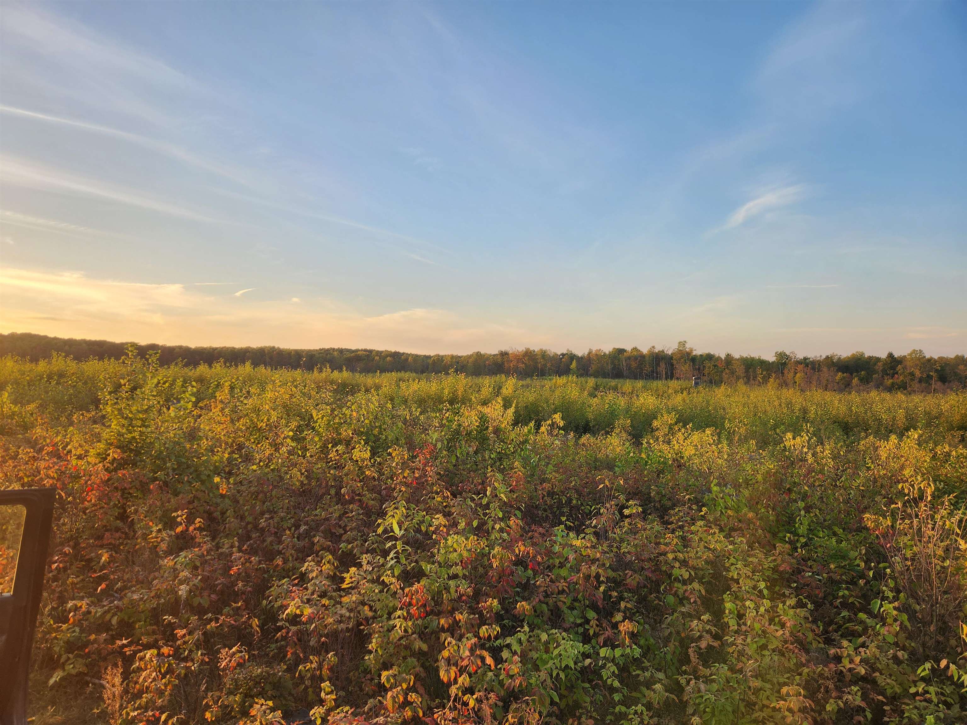 40 Acres (1st) Monroe (easement) Road Harrison, MI 48625 - Photo 4 of 7