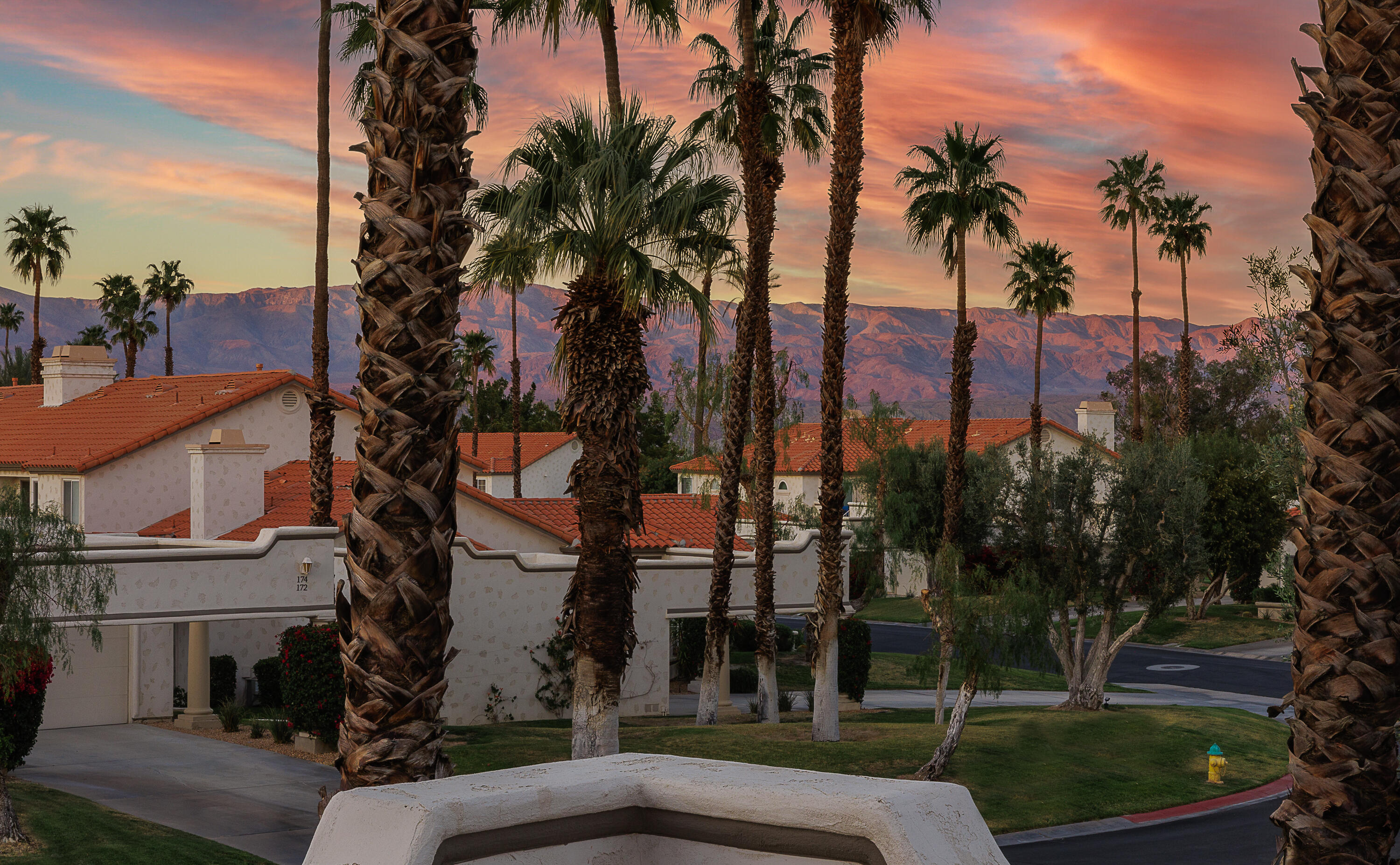 175 Firestone Drive Palm Desert, CA 92211 - Photo 16 of 24 a view of a palm trees