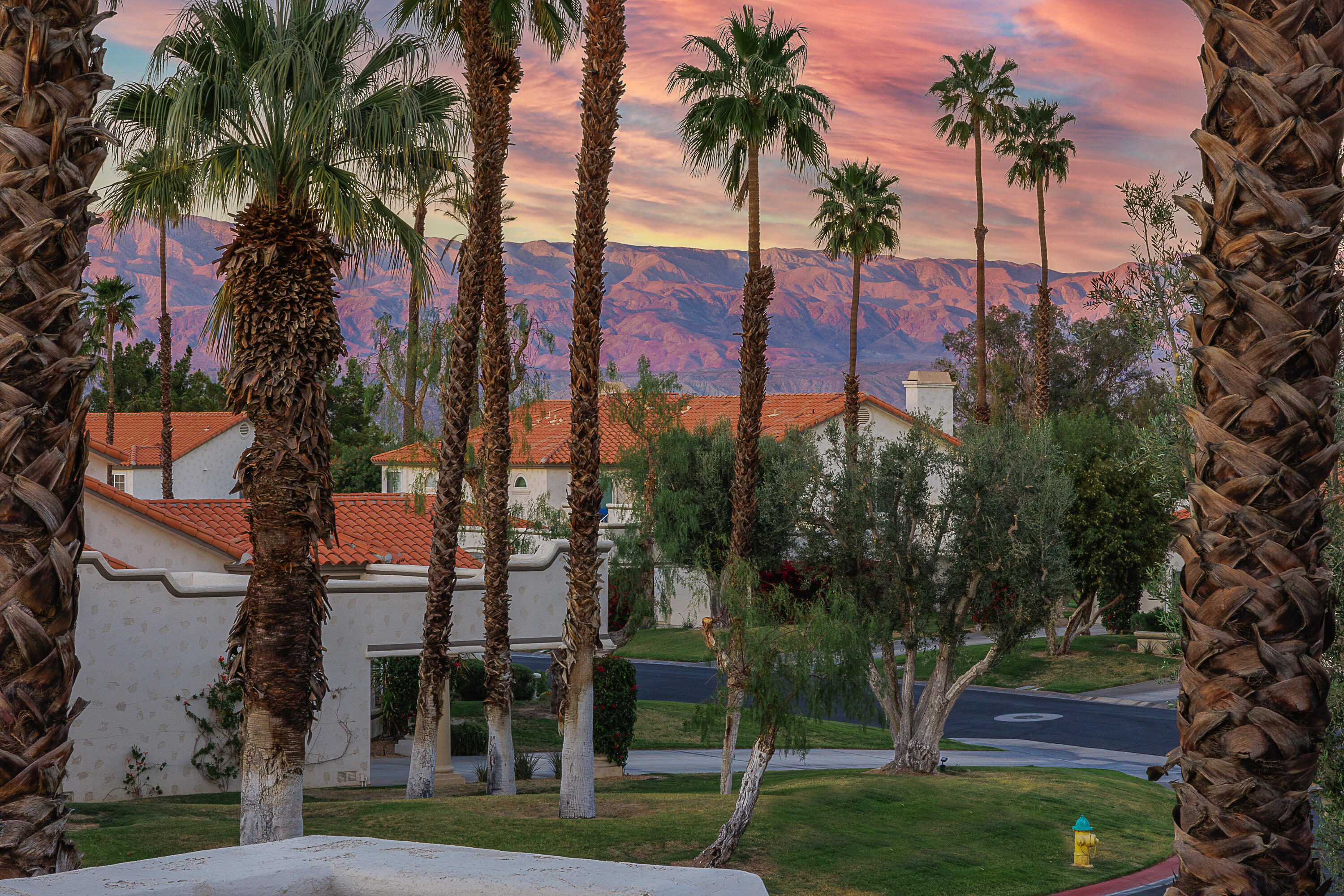 175 Firestone Drive Palm Desert, CA 92211 - Photo 17 of 24 a view of a palm trees in front of a house