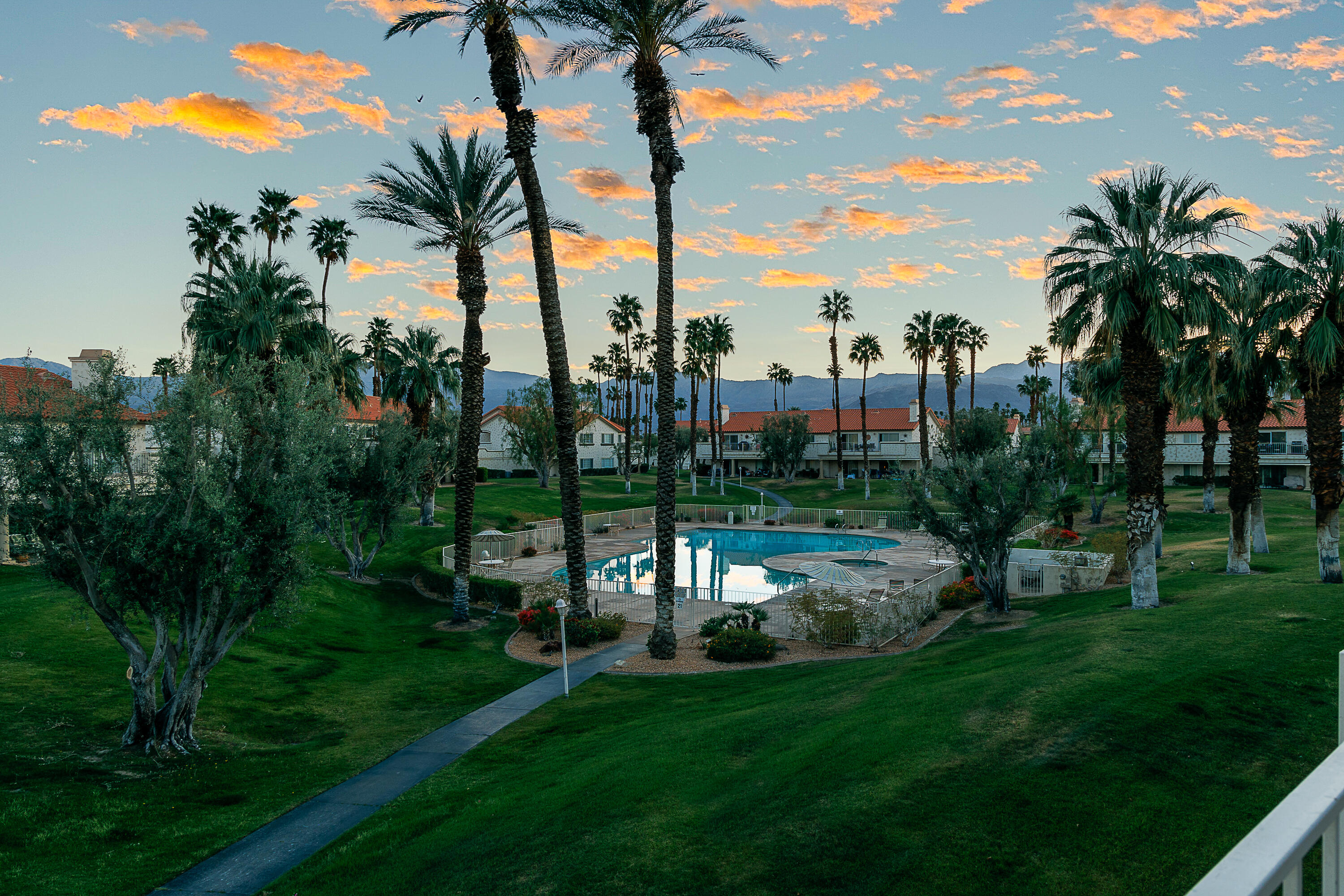 175 Firestone Drive Palm Desert, CA 92211 - Photo 18 of 24 a view of a park with a palm tree