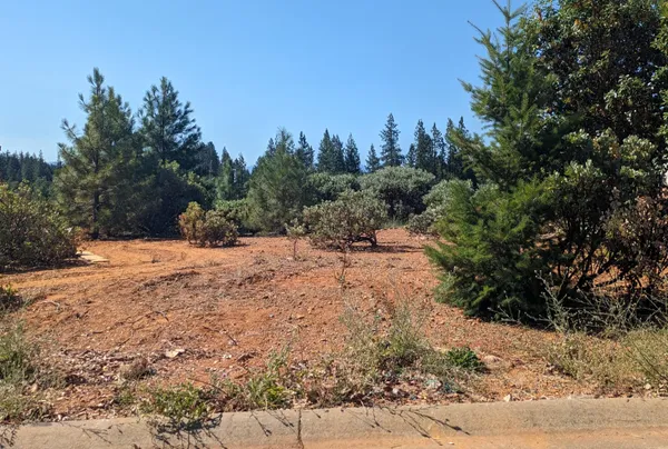 $19,000 | 344 Cedar Ridge Drive, Cave Junction, OR 97523
