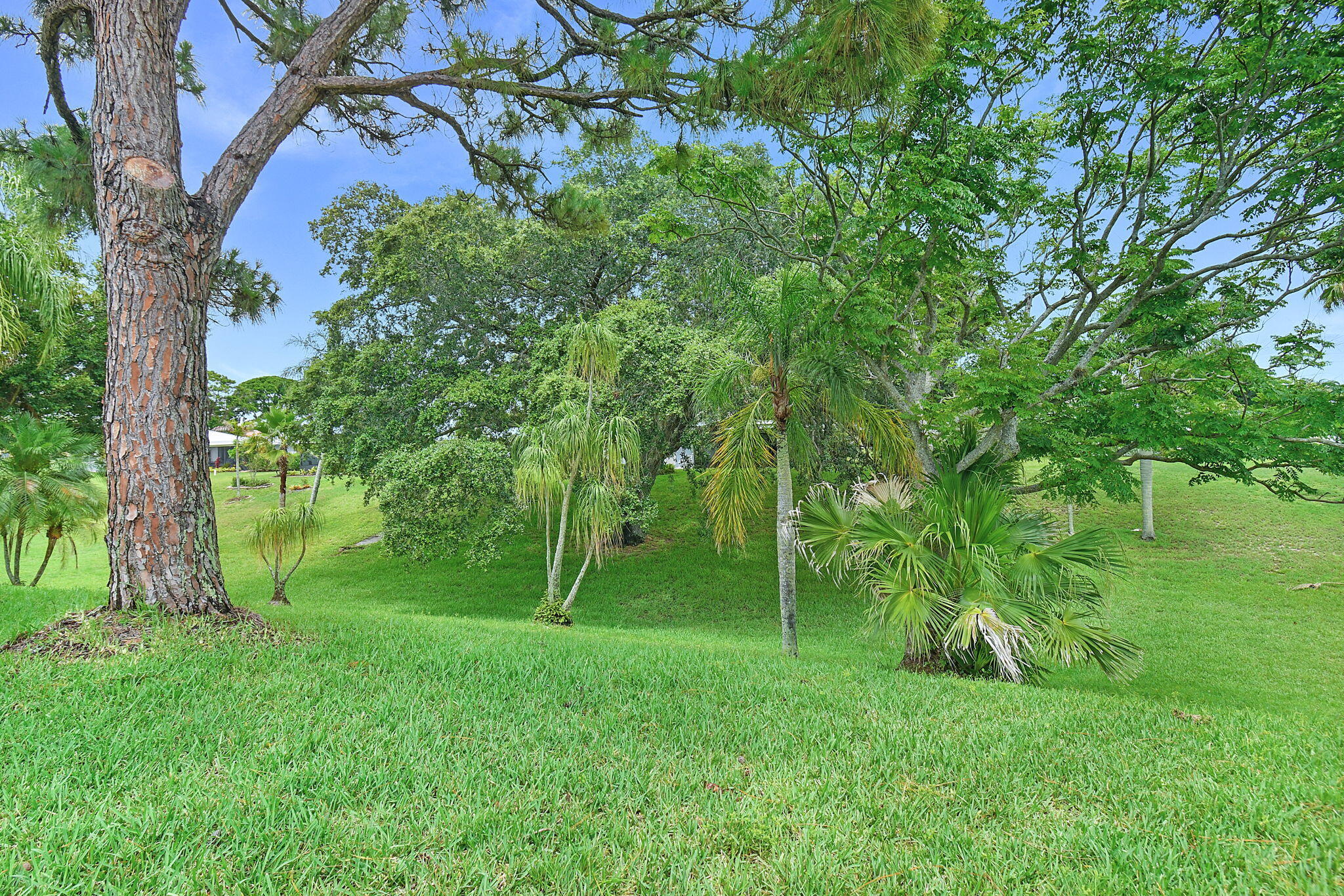 5251 Southeast Sea Island Way Stuart, FL 34997 - Photo 38 of 68 a view of a trees in a yard