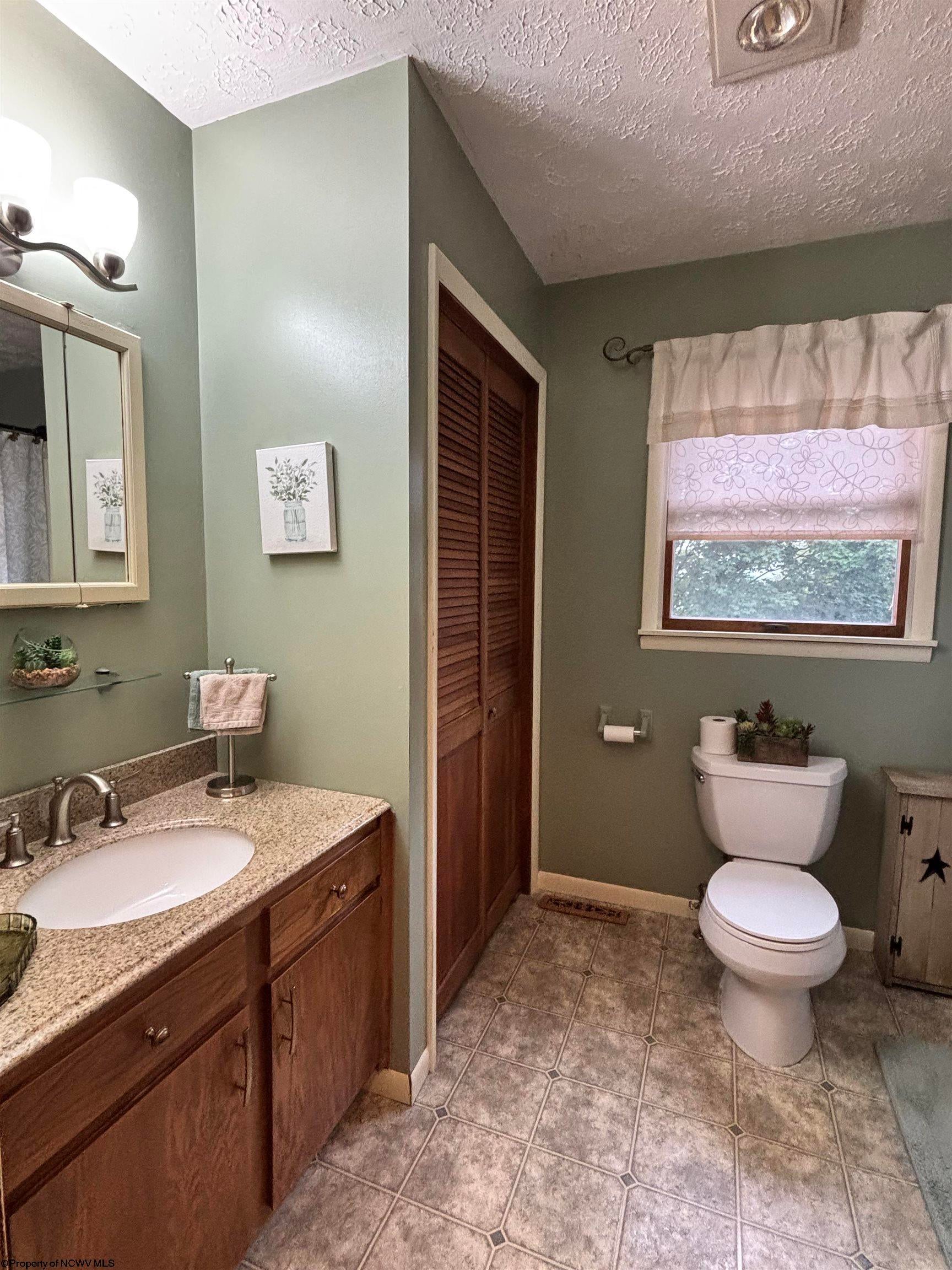 381 Midway Road Belington, WV 26250 - Photo 14 of 44 Gallery Image 14
