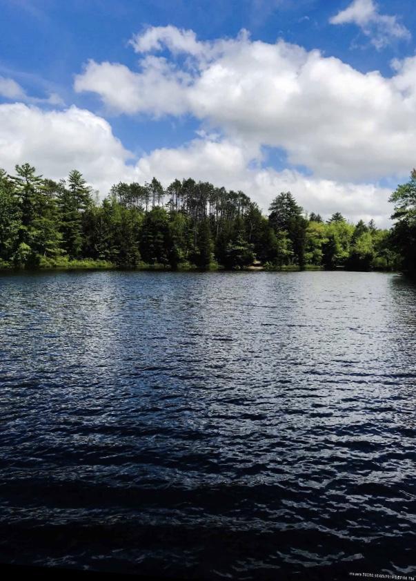 630 Springy Pond Road Ellsworth, ME 04605 - Photo 10 of 27 IMG_1217
